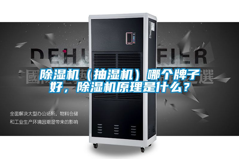 除濕機（抽濕機）哪個牌子好，除濕機原理是什么？