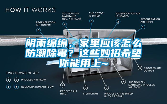 陰雨綿綿，家里應該怎么防潮除霉？這些妙招希望你能用上~