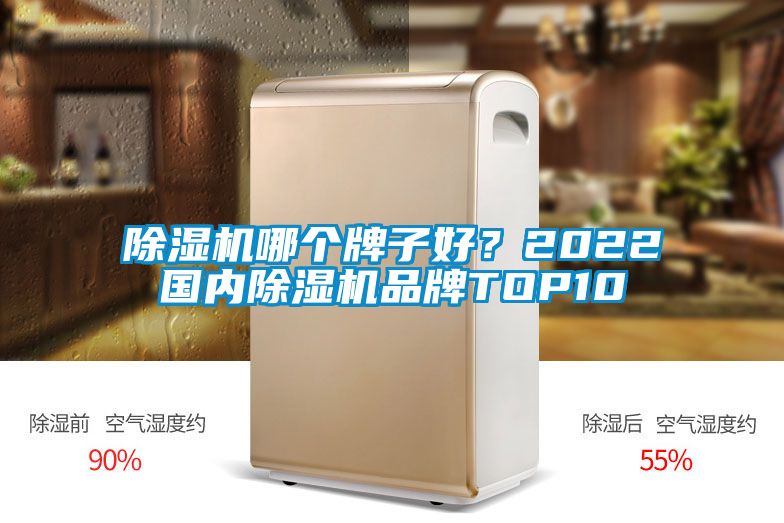 除濕機哪個牌子好？2022國內除濕機品牌TOP10