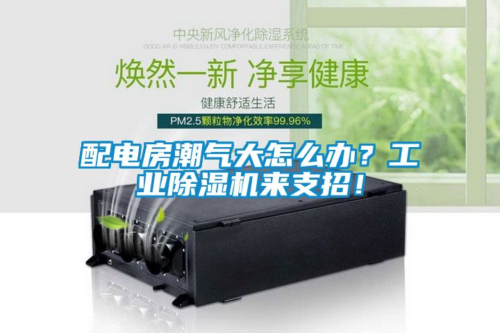 配電房潮氣大怎么辦？工業除濕機來支招！