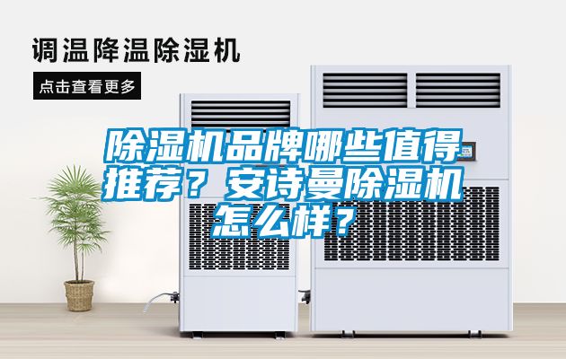 除濕機品牌哪些值得推薦？安詩曼除濕機怎么樣？