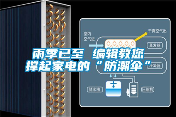 雨季已至 編輯教您撐起家電的“防潮傘”