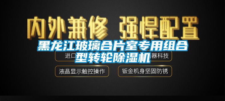 黑龍江玻璃合片室專用組合型轉輪除濕機