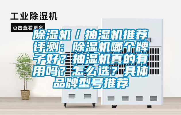 除濕機／抽濕機推薦評測：除濕機哪個牌子好？抽濕機真的有用嗎？怎么選？具體品牌型號推薦