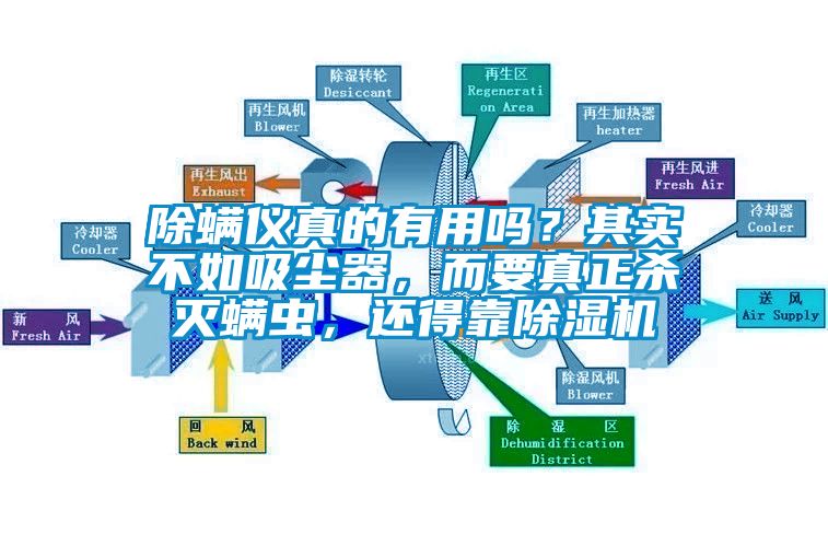 除螨儀真的有用嗎？其實不如吸塵器，而要真正殺滅螨蟲，還得靠除濕機